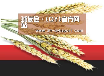 球友会·(QY)官方网站
