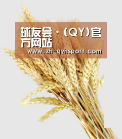 球友会·(QY)官方网站