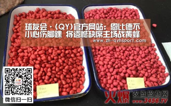 qy球友会